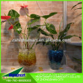 decorative crystal soil, indoor planting hydro gel, rainbow clay, water bead